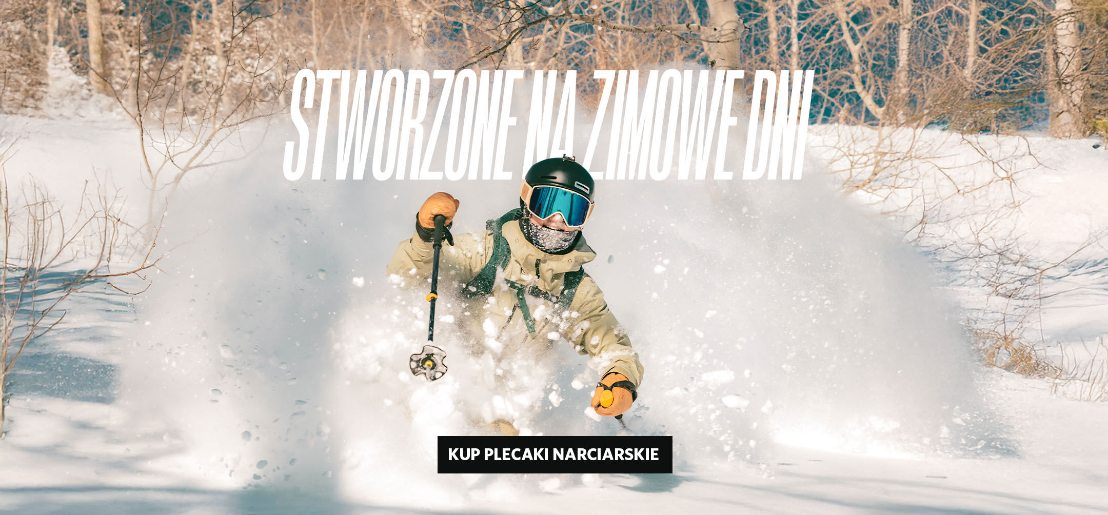 STWORZONE NA ZIMOWE DNI